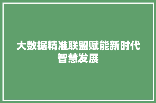 大数据精准联盟赋能新时代智慧发展