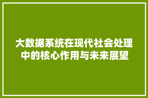 大数据系统在现代社会处理中的核心作用与未来展望