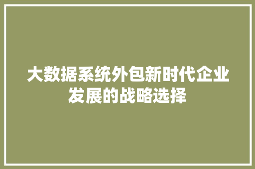 大数据系统外包新时代企业发展的战略选择