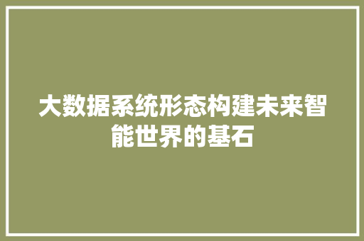 大数据系统形态构建未来智能世界的基石