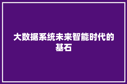 大数据系统未来智能时代的基石