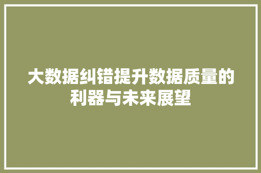 大数据纠错提升数据质量的利器与未来展望