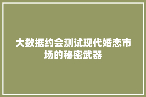 大数据约会测试现代婚恋市场的秘密武器