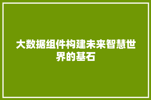 大数据组件构建未来智慧世界的基石