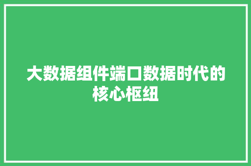 大数据组件端口数据时代的核心枢纽