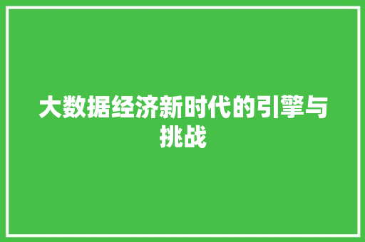 大数据经济新时代的引擎与挑战