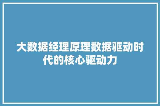 大数据经理原理数据驱动时代的核心驱动力