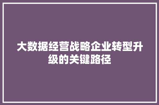 大数据经营战略企业转型升级的关键路径