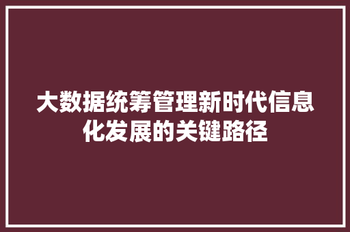 大数据统筹管理新时代信息化发展的关键路径