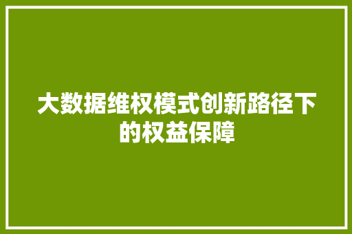 大数据维权模式创新路径下的权益保障