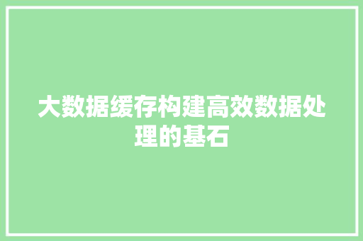 大数据缓存构建高效数据处理的基石