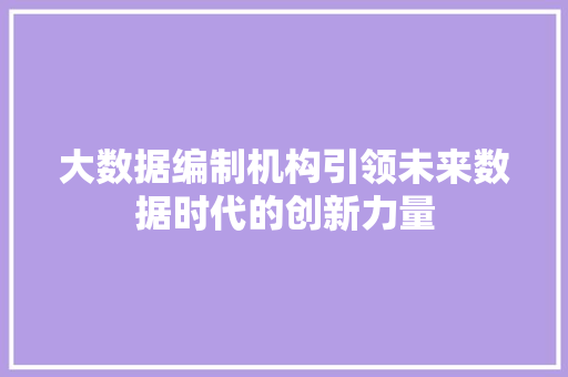 大数据编制机构引领未来数据时代的创新力量