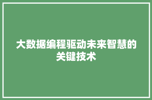 大数据编程驱动未来智慧的关键技术