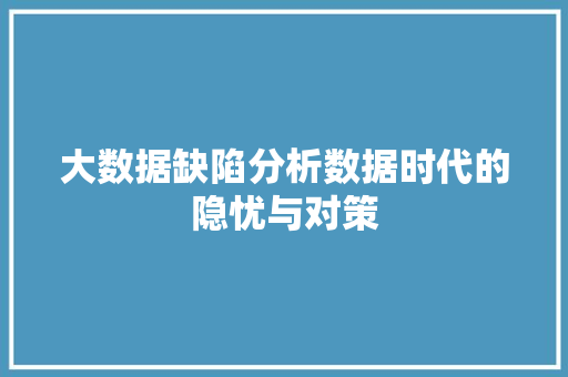 大数据缺陷分析数据时代的隐忧与对策