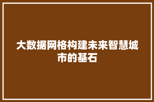 大数据网格构建未来智慧城市的基石