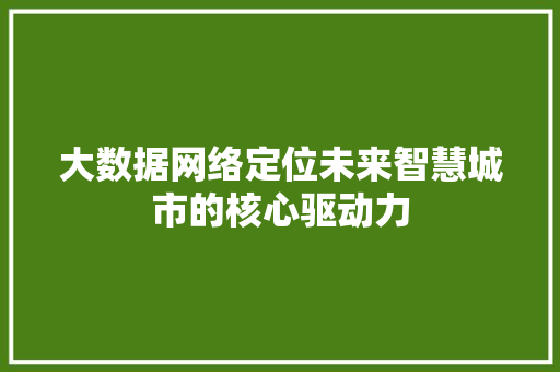大数据网络定位未来智慧城市的核心驱动力