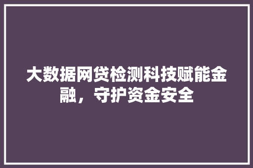 大数据网贷检测科技赋能金融，守护资金安全