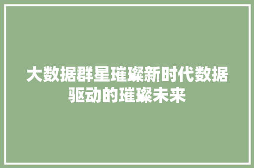 大数据群星璀璨新时代数据驱动的璀璨未来