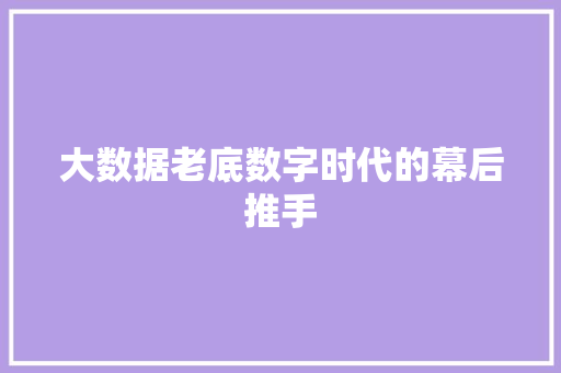 大数据老底数字时代的幕后推手