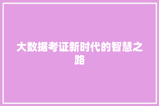 大数据考证新时代的智慧之路