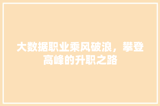 大数据职业乘风破浪，攀登高峰的升职之路