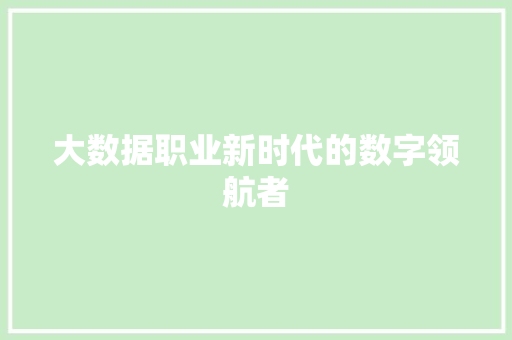 大数据职业新时代的数字领航者