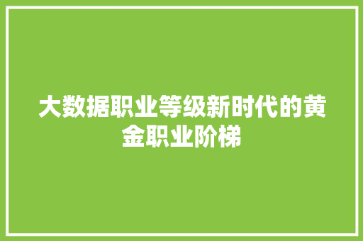 大数据职业等级新时代的黄金职业阶梯