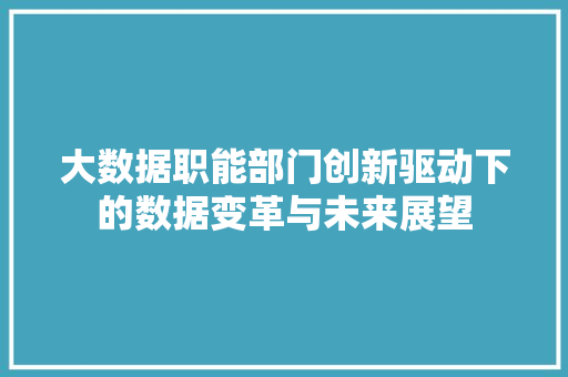 大数据职能部门创新驱动下的数据变革与未来展望