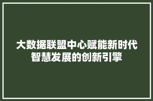 大数据联盟中心赋能新时代智慧发展的创新引擎