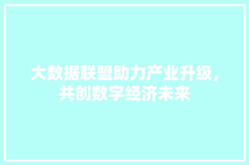 大数据联盟助力产业升级，共创数字经济未来