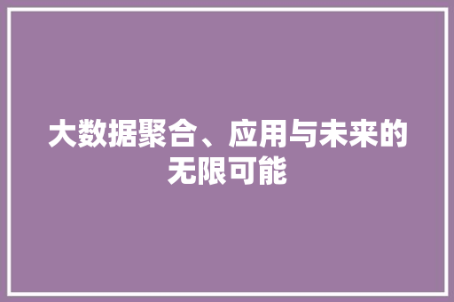 大数据聚合、应用与未来的无限可能