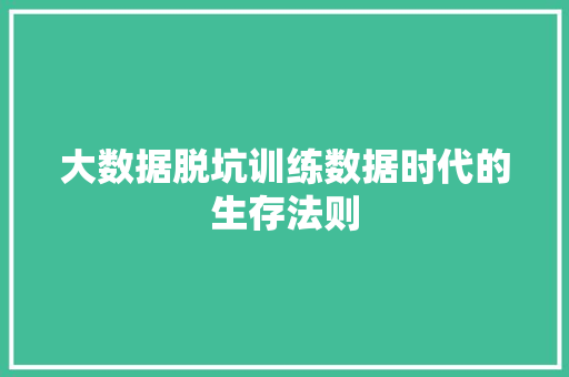 大数据脱坑训练数据时代的生存法则