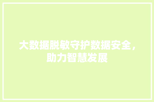 大数据脱敏守护数据安全，助力智慧发展