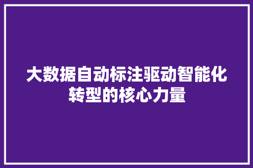 大数据自动标注驱动智能化转型的核心力量