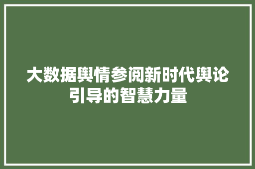 大数据舆情参阅新时代舆论引导的智慧力量