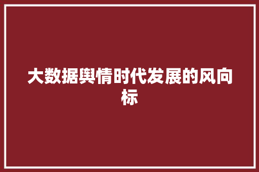 大数据舆情时代发展的风向标