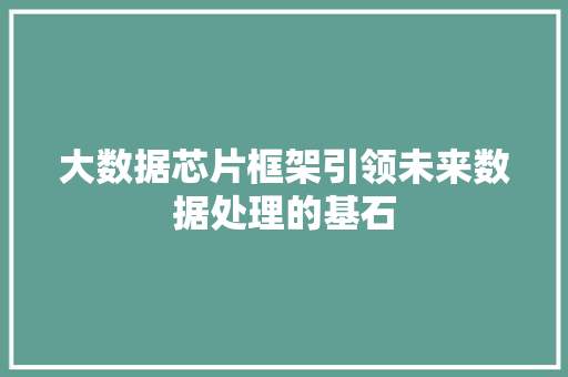 大数据芯片框架引领未来数据处理的基石