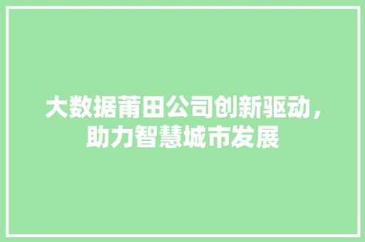 大数据莆田公司创新驱动，助力智慧城市发展