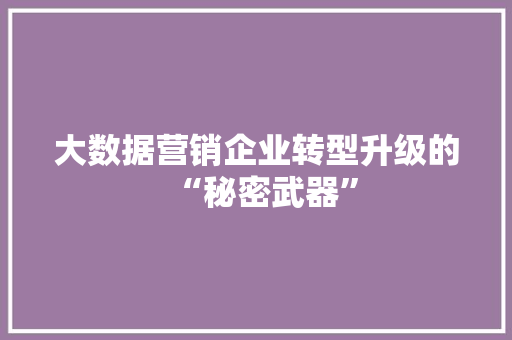 大数据营销企业转型升级的“秘密武器”