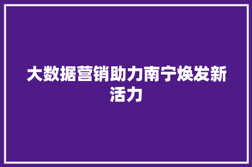大数据营销助力南宁焕发新活力