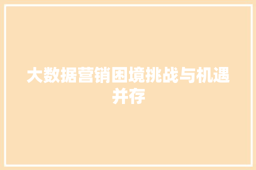大数据营销困境挑战与机遇并存