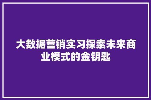 大数据营销实习探索未来商业模式的金钥匙