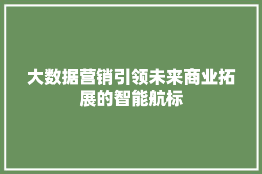 大数据营销引领未来商业拓展的智能航标