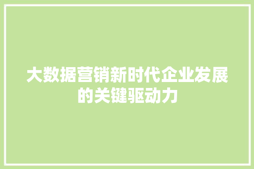 大数据营销新时代企业发展的关键驱动力