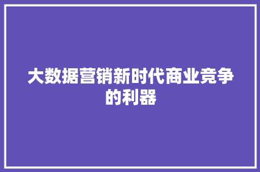 大数据营销新时代商业竞争的利器