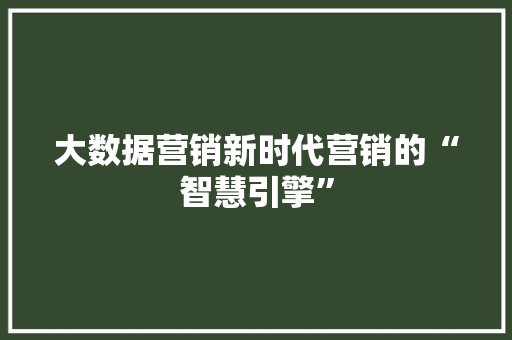 大数据营销新时代营销的“智慧引擎”