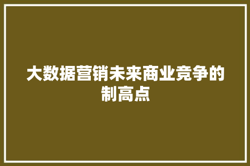 大数据营销未来商业竞争的制高点