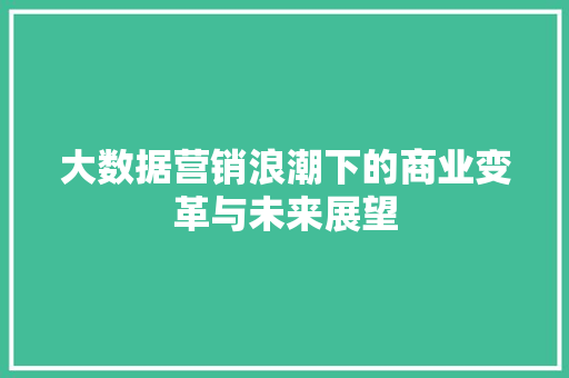 大数据营销浪潮下的商业变革与未来展望