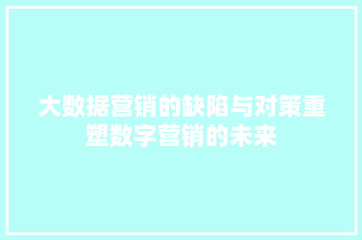 大数据营销的缺陷与对策重塑数字营销的未来