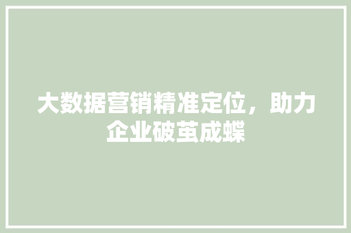 大数据营销精准定位，助力企业破茧成蝶 操作系统